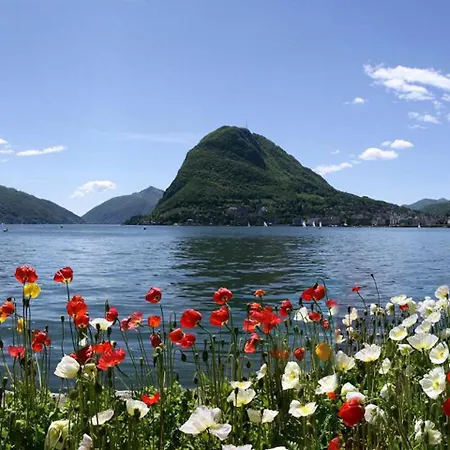 Faggi 21 Apartment Lugano
